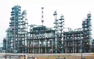 破產(chǎn)重整后的西南地?zé)捑揞^盛馬化工最新情況